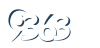Input this protected code