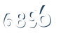 Input this protected code