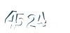 Input this protected code