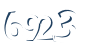 Input this protected code