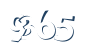 Input this protected code