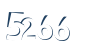 Input this protected code
