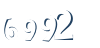 Input this protected code