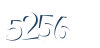 Input this protected code