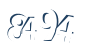 Input this protected code