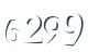 Input this protected code