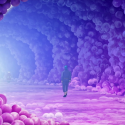Toriko 107