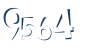 Input this protected code