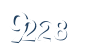 Input this protected code