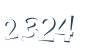 Input this protected code