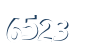 Input this protected code