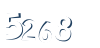 Input this protected code