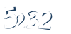 Input this protected code