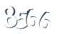 Input this protected code