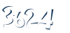 Input this protected code
