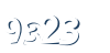 Input this protected code