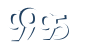 Input this protected code