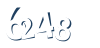 Input this protected code