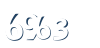 Input this protected code