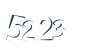 Input this protected code