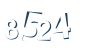 Input this protected code