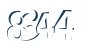 Input this protected code