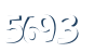 Input this protected code